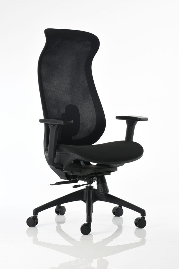 BM 6000