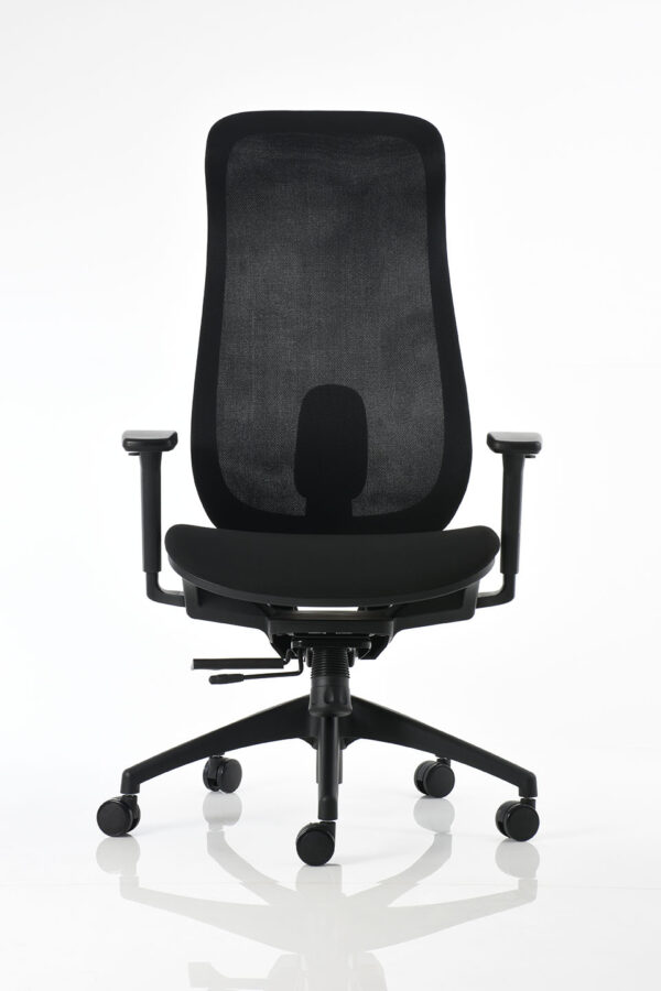 BM 6000 - Image 2