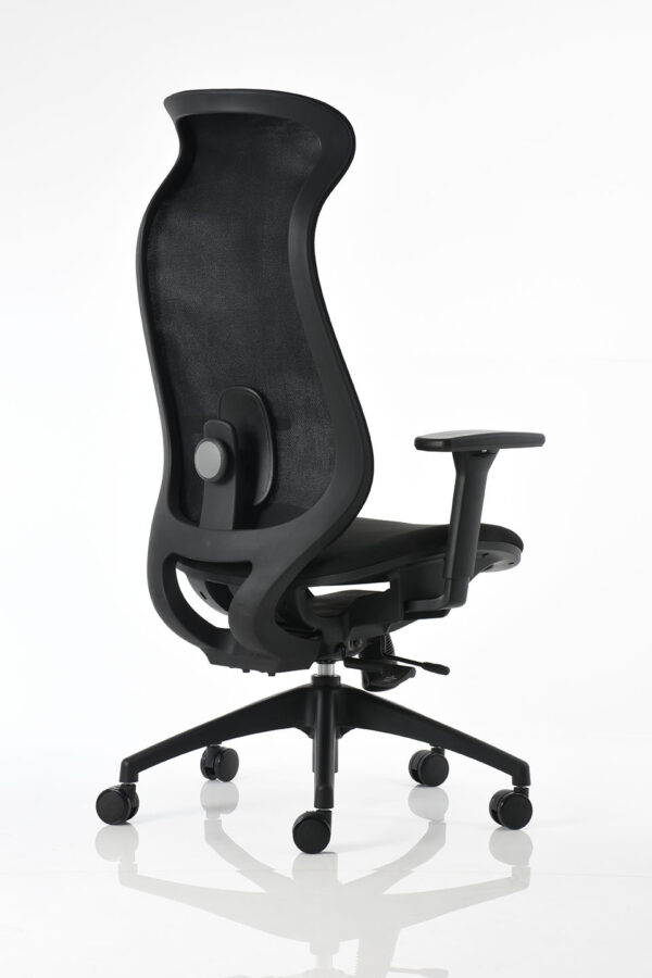 BM 6000 - Image 4