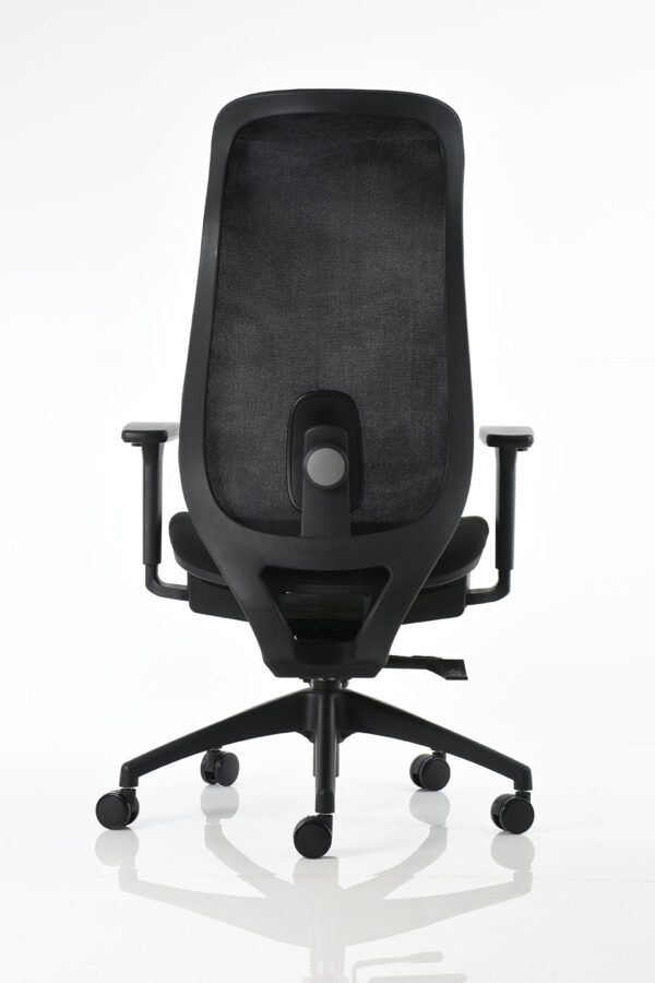 BM 6000 - Image 5