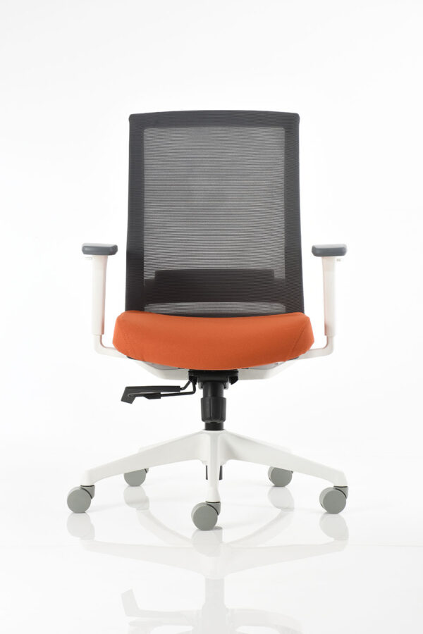 BM 7701 BL - Image 5