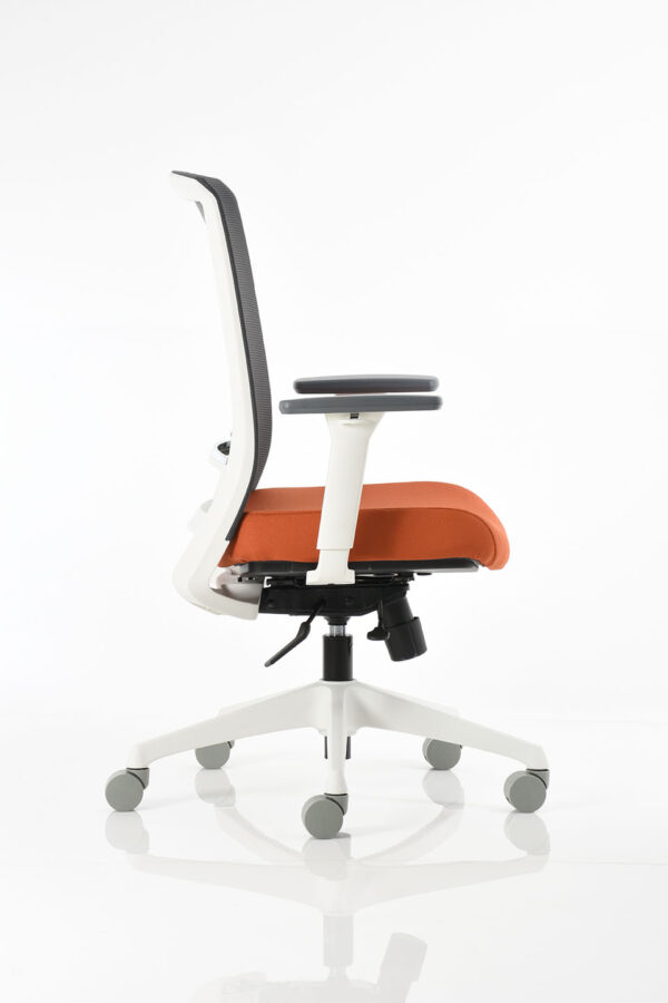 BM 7701 BL - Image 4