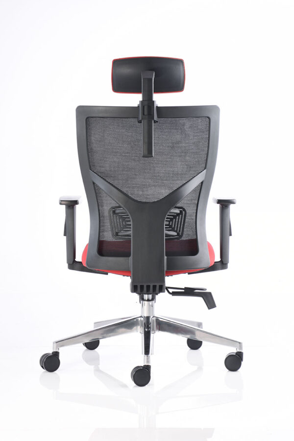 BM 3000 SL CC - Image 4