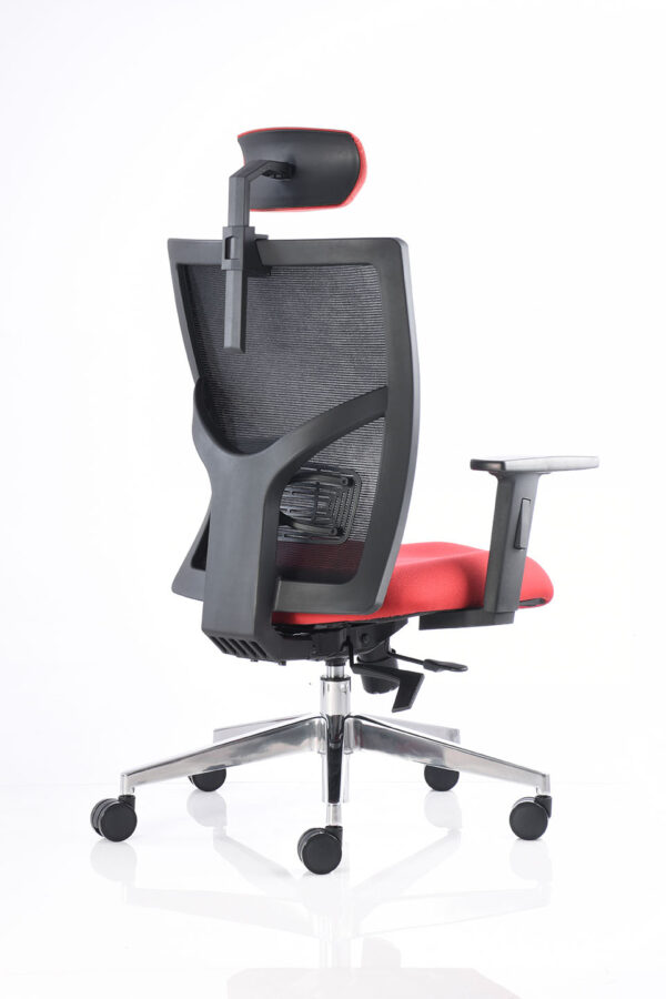 BM 3000 SL CC - Image 5