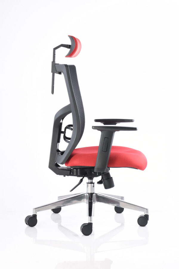 BM 3000 SL CC - Image 6