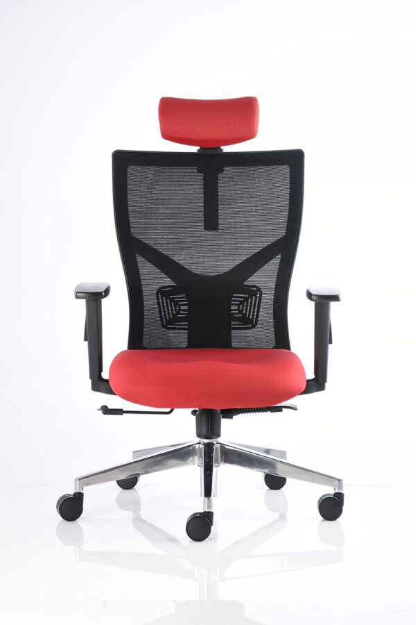 BM 3000 CC - Image 2