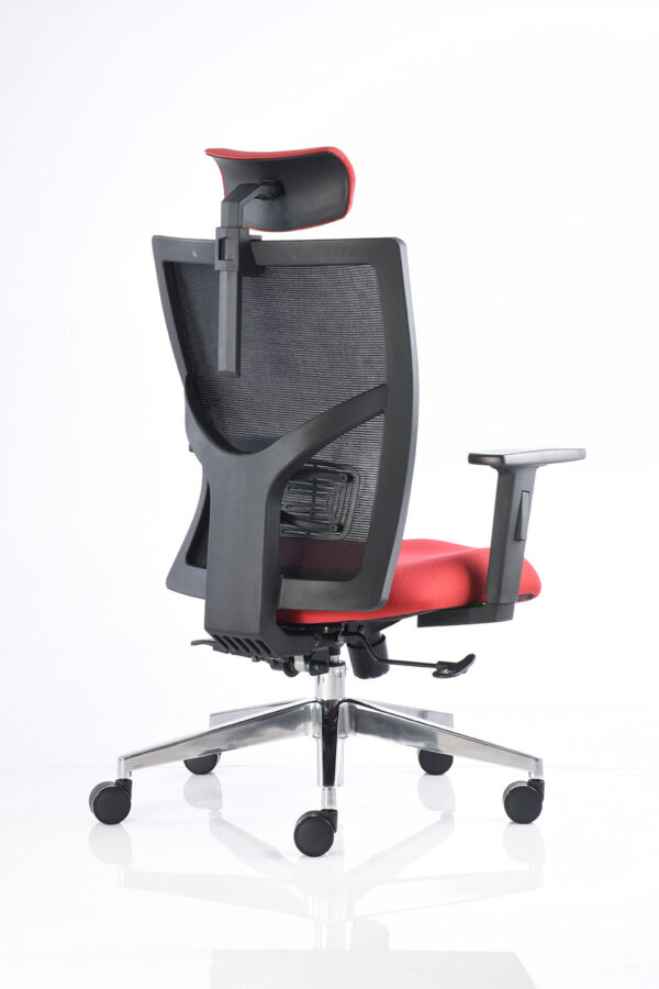 BM 3000 CC - Image 5