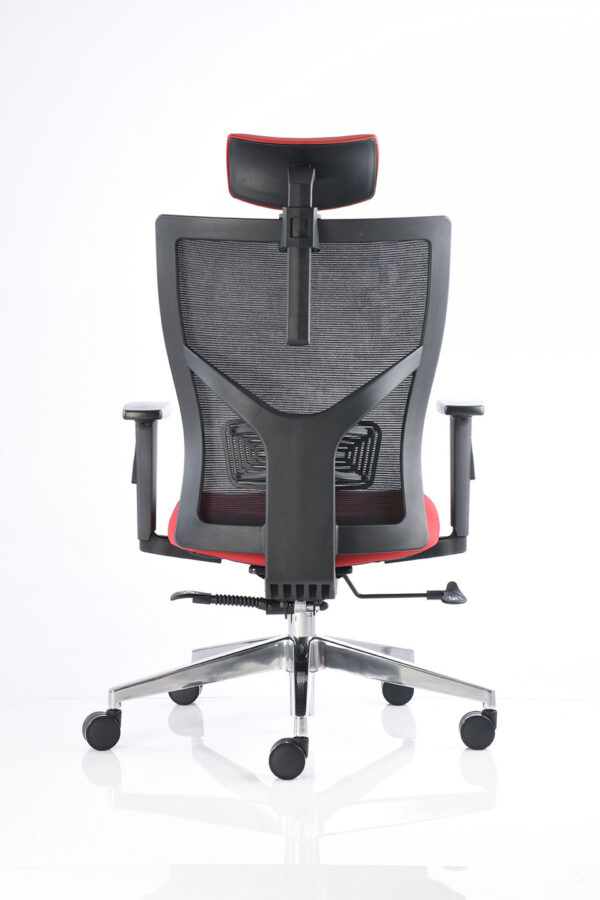 BM 3000 CC - Image 4